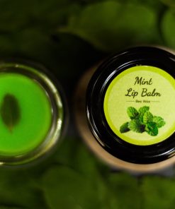Beeswax Lip Balm (Mint) (मिंट लिप बाम) 20gm
