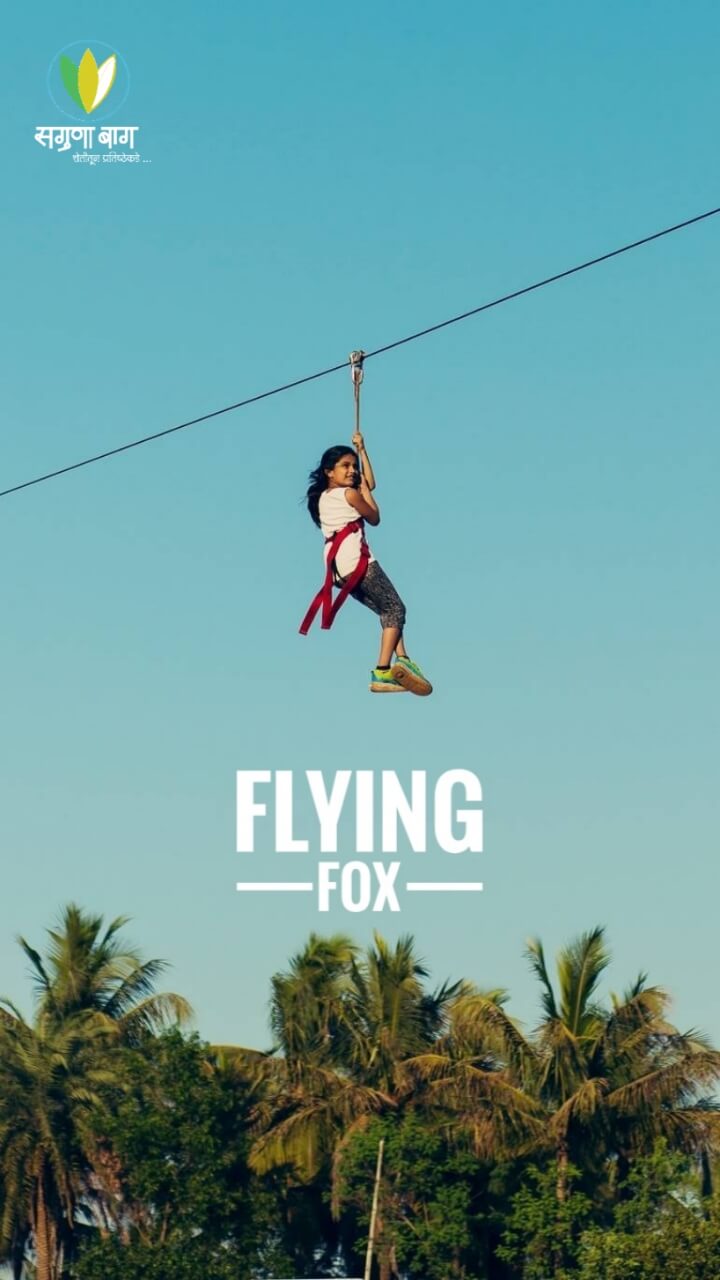 flying-fox